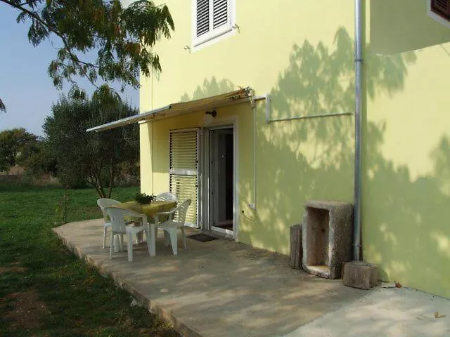 Apartment Mir