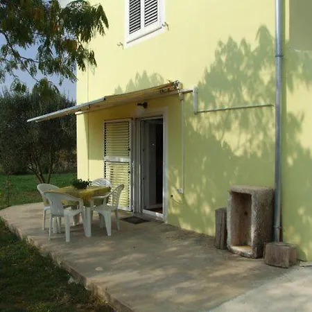 Apartment Mir
